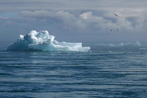 iceberg g36896707f 640