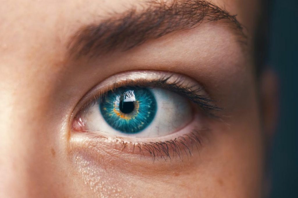 Des chercheurs affirment avoir découvert une nouvelle couleur jamais observée auparavant 8 image 13