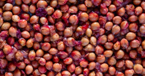 Que faire avec ses noyaux de cerises ? 5 idées ingénieuses pour ne plus les jeter. 23 Normal 2025 07 02T083020.277 560x294 1