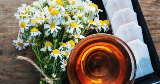 Transformez vos sachets de tisane en bouquet de fleurs 38 Normal 2025 07 02T114340.390 560x294 1