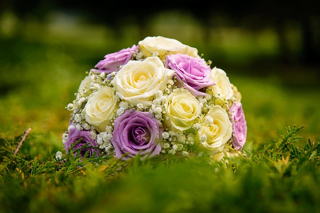 Les 10 roses les plus parfumées pour un jardin enivrant 27 flowers g878738a68 640