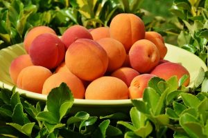 peaches gb893e103a 640
