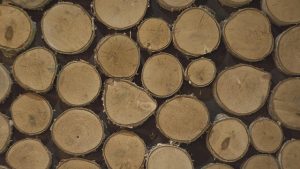 logs geab7f7c7a 640