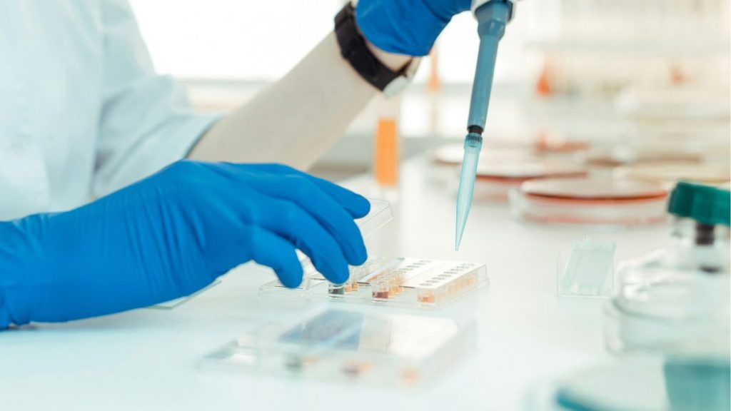 Une nouvelle radiothérapie révolutionnaire efface les traces de cancer chez un patient sur cinq 1 image 73