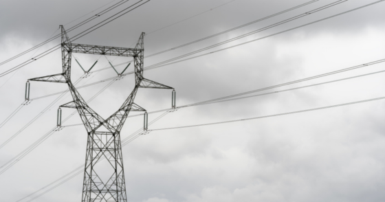 Ce stratagème pour que les oiseaux ne percutent plus les lignes électriques est juste génial 19 Normal 92 560x294 1