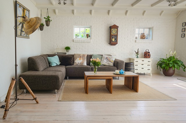 Les plantes d’intérieur idéales en automne : faites entrer la nature à la maison ! 23 living room g8e417f0c6 640