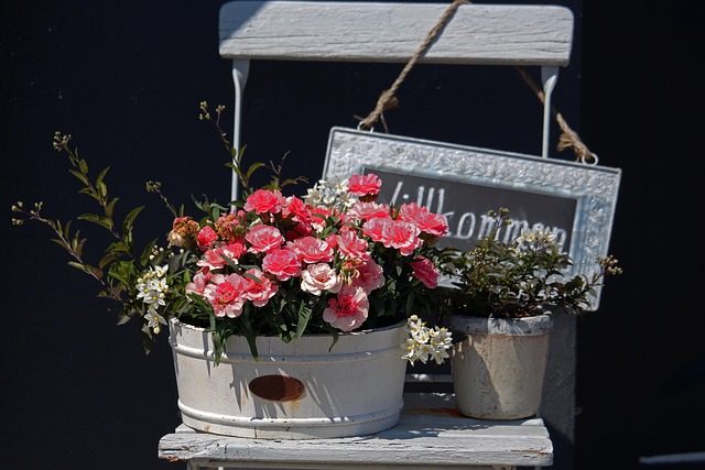Ces plantes à rentrer absolument dès l’automne, avant même l’hiver 39 welcome g0ad402de2 640