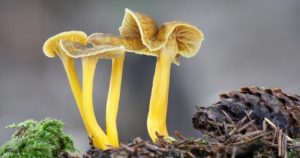 Normal 2025 11 13T093911.575 560x294 1