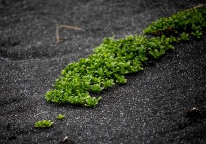 photo 1703161202418 b8e5b7bb61bc