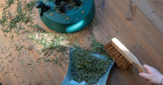 Normal 2025 12 03T105054.102 560x294 1