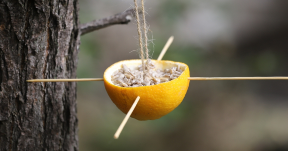 Normal 2025 12 05T081453.709 560x294 1