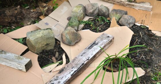 Normal 2025 12 11T093132.780 560x294 1