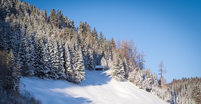 landscape g09a9476ef 640