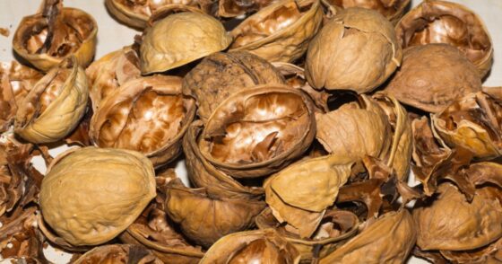 Normal 2026 01 13T081644.225 560x294 1