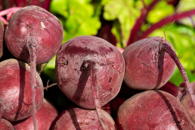 beetroot g93cd55306 640
