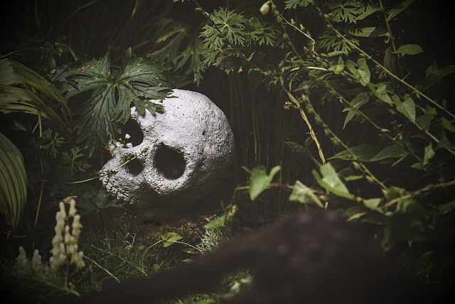 rainforest ga6cbde6d9 640