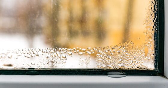 Normal 2026 01 26T074446.015 560x294 1