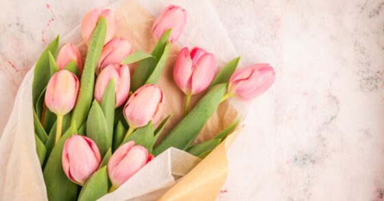 Tulipes : comment défier le temps et garder votre bouquet frais durant 10 jours ? 9 Normal 2026 01 27T093614.854 560x294 1