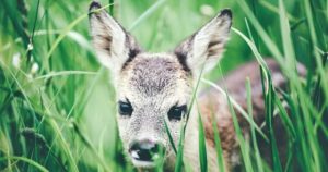 Normal 2026 02 02T071103.709 560x294 1