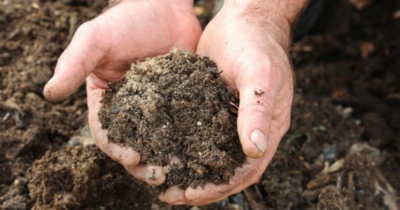 Il est grand temps de transformer ce déchet vert en engrais naturel 2 Normal 2026 02 10T085412.434 560x294 1