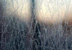 alicja pane gc402e0561 640