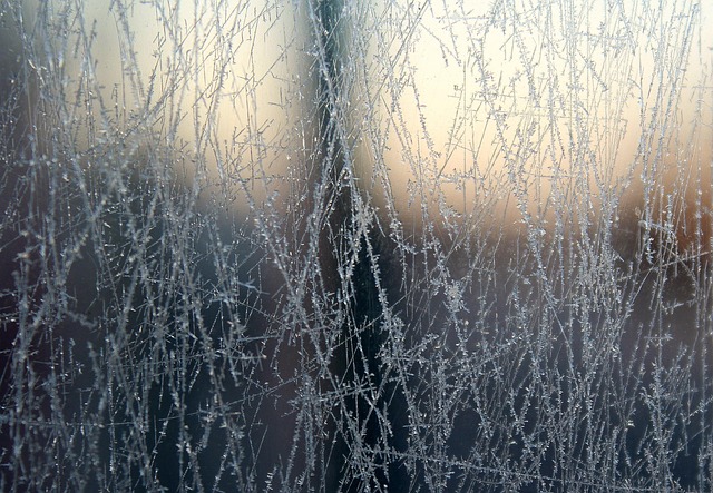 alicja pane gc402e0561 640