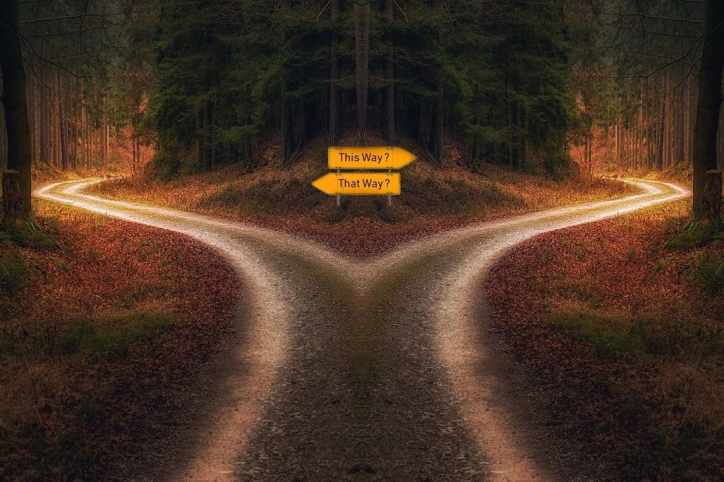 Prise de risque: connaître les conséquences de nos choix nous rendrait irrationnels 7 image 65