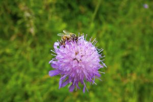 photo 1748435942755 2a3b099c81e4