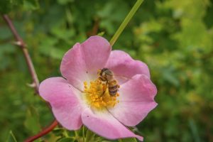 photo 1748435943027 275a6378f8bc