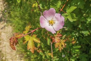 photo 1748435943031 7a74c0b653b3