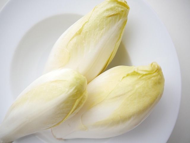 L’endive et la chicorée : comment bien les cuisiner 3 wortschaum chicory g919f80922 640