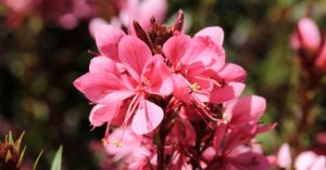 Normal 2026 03 03T093425.092 768x403 1