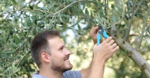 Normal 2026 03 04T104538.251 768x403 1