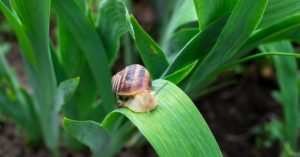 Normal 2026 03 09T094648.828 768x403 1