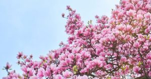 Normal 2026 03 10T100426.321 768x403 1