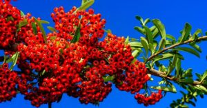 Normal 2026 03 12T075112.695 768x403 1