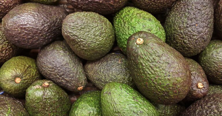 Avocat trop dur : 5 secrets infaillibles pour ne plus jamais rater votre guacamole 4 Normal 2026 03 13T071956.655 768x403 1