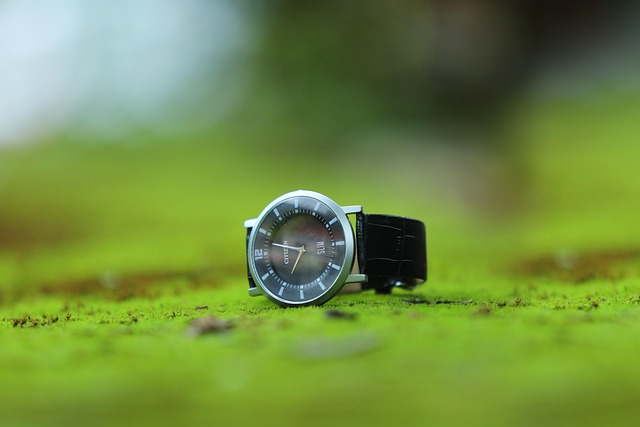 bobanmk citizen g851a77802 640