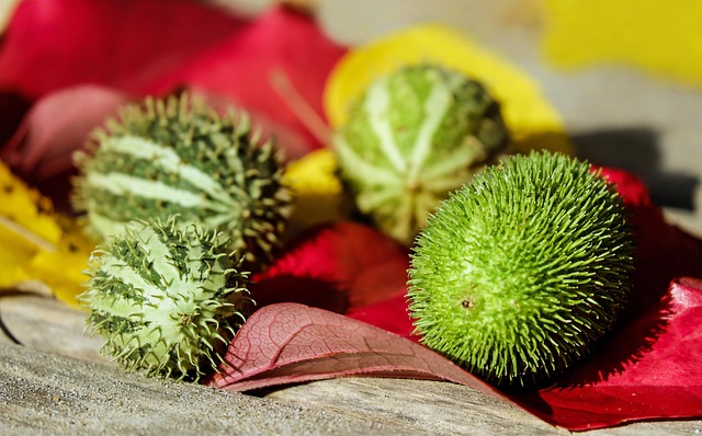 Consommation : vrac et réemploi entrent dans les habitudes des Français 10 couleur cucumbers g8120c551b 640