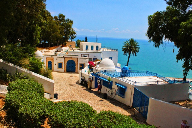 filipstraznicky tunis g21d9bc906 640