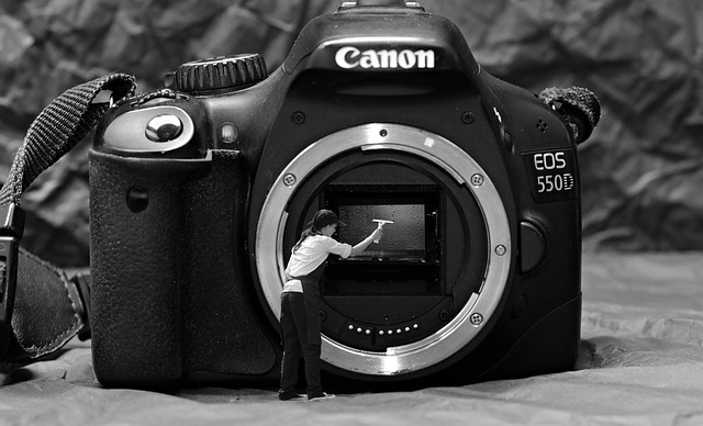 noname 13 spring cleaning ge40ef2b59 640