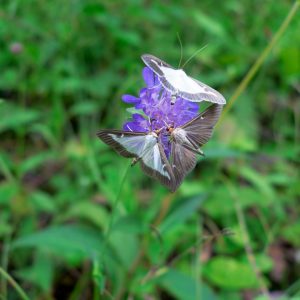 photo 1686573819422 6480e1ed4812