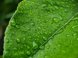 photo 1718307842442 e4c776ecdc96