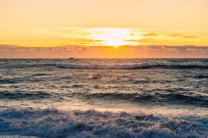 photo 1733729611031 6c6f1503384c