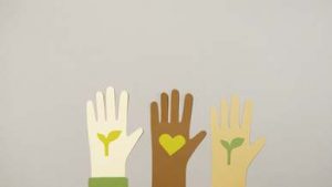 video thumb 33650 69bcb84718b7d