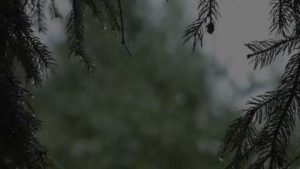 video thumb 33790 69c9e7451750d