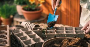 Normal 2026 02 26T075059.320 768x403 1