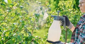 Normal 2026 03 23T114615.477 768x403 1