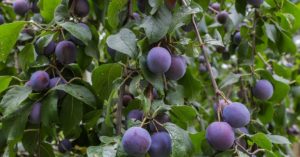 Normal 2026 03 24T081402.962 768x403 1