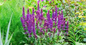 Normal 2026 03 25T074137.034 768x403 1